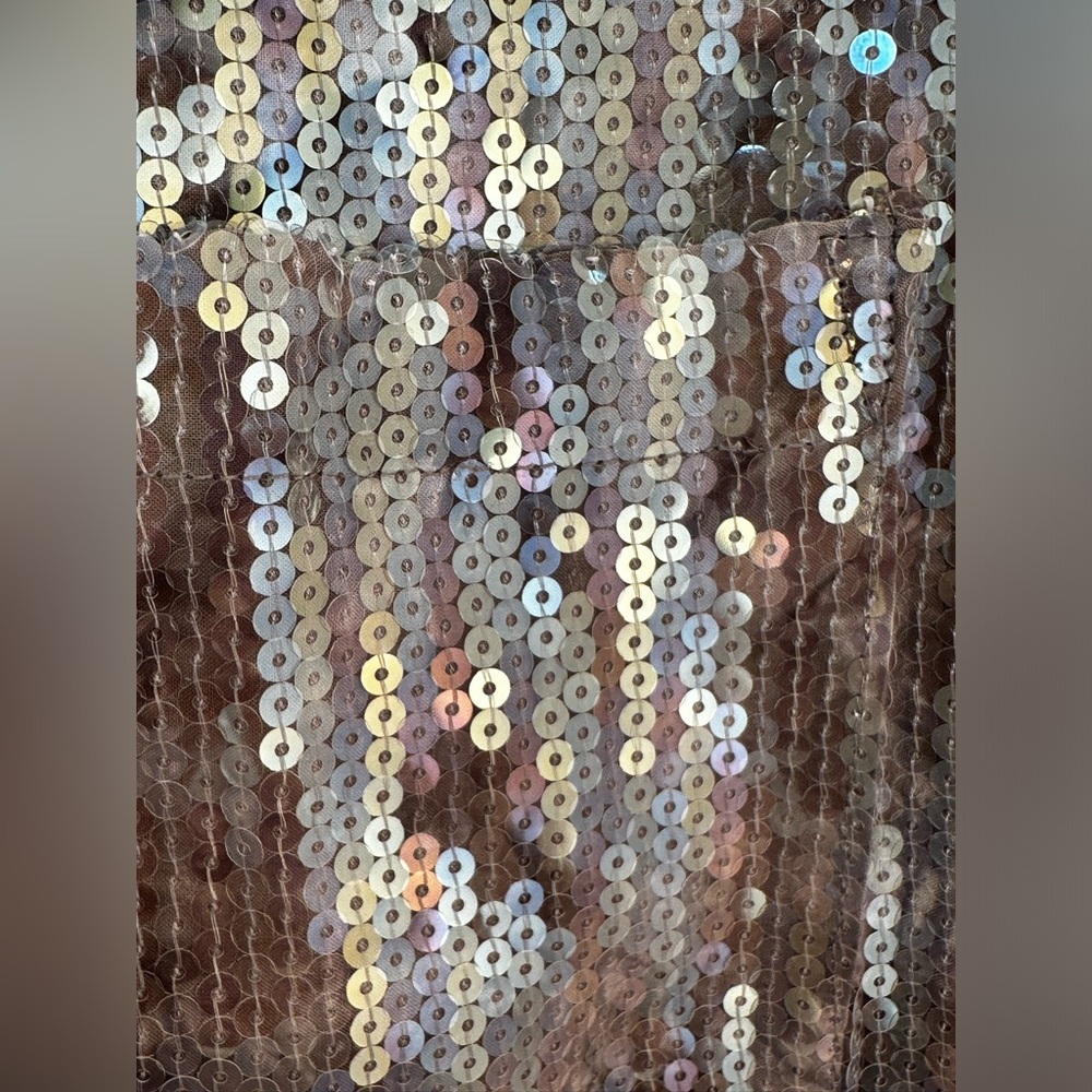 Pilcro Metallic Sequin Blouse in Silver and Black - Picture 10 of 14